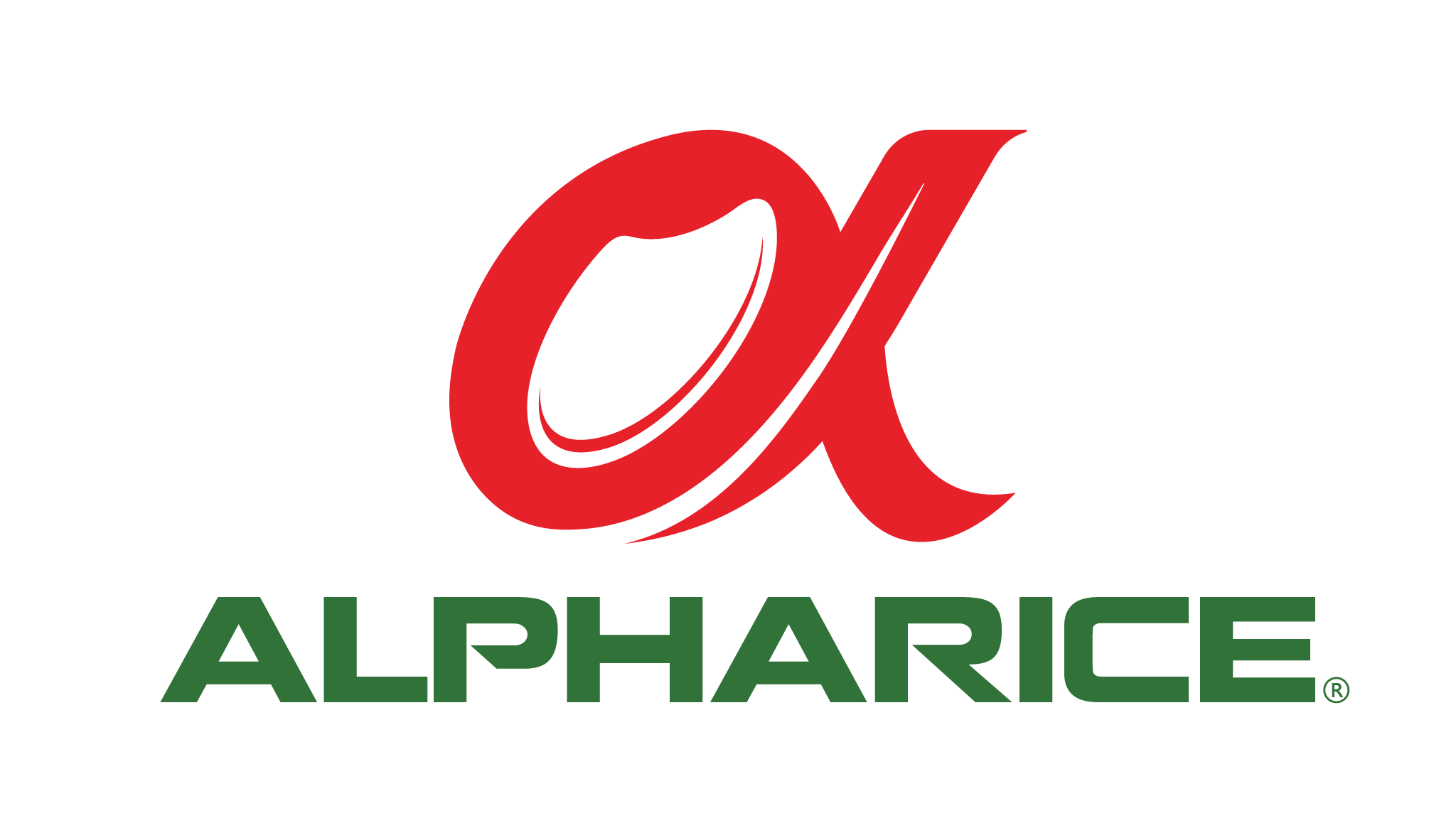 logo icon